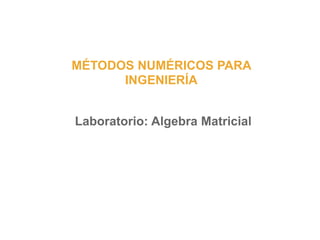 MÉTODOS NUMÉRICOS PARA
INGENIERÍA
Laboratorio: Algebra Matricial
 