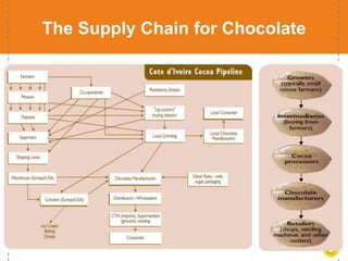 14
The Supply Chain for Chocolate
 