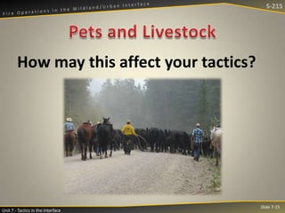 S-215

How may this affect your tactics?

Unit 7 - Tactics in the Interface

Slide 7-15

 