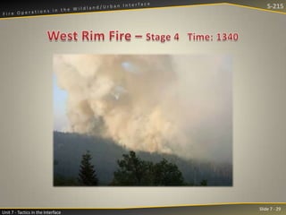 S-215

Unit 7 - Tactics in the Interface

Slide 7 - 29

 