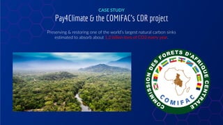 CASE STUDY
Pay4Climate & the COMIFAC’s CDR project
Preserving & restoring one of the world’s largest natural carbon sinks
...