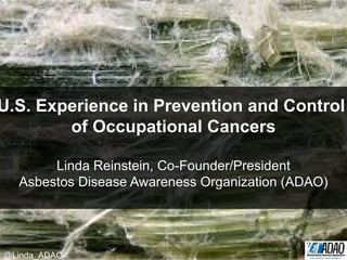 U.S. Experience in Prevention and Control
of Occupational Cancers
Linda Reinstein, Co-Founder/President
Asbestos Disease Awareness Organization (ADAO)
@Linda_ADAO
 