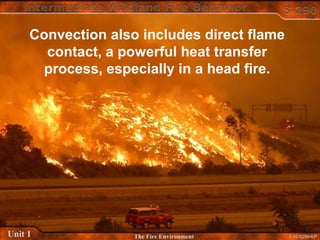1-10-S290-EPUnit 1 The Fire Environment
Convection also includes direct flame
contact, a powerful heat transfer
process, especially in a head fire.
 