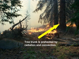 1-14-S290-EPUnit 1 The Fire Environment
Tree trunk is preheated by
radiation and convection.
1-14-S290-EP
 