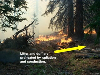 1-16-S290-EPUnit 1 The Fire Environment
Litter and duff are
preheated by radiation
and conduction.
1-16-S290-EP
 
