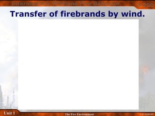 1-21-S290-EPUnit 1 The Fire Environment
Transfer of firebrands by wind.
 