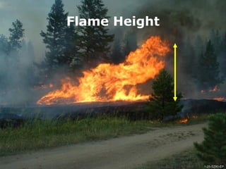 1-25-S290-EPUnit 1 The Fire Environment
Flame Height
1-25-S290-EP
 