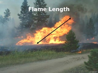 1-27-S290-EPUnit 1 The Fire Environment
Flame Length
1-27-S290-EP
 