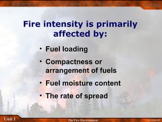 1-31-S290-EPUnit 1 The Fire Environment
Fire intensity is primarily
affected by:
• Fuel loading
• Compactness or
arrangement of fuels
• Fuel moisture content
• The rate of spread
 