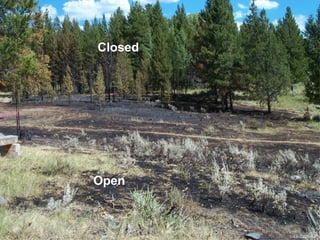 1-43-S290-EPUnit 1 The Fire Environment
Open
Closed
1-43-S290-EP
 
