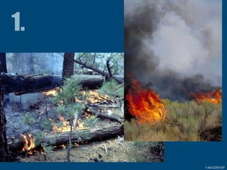 1-46-S290-EPUnit 1 The Fire Environment 01-46-S290-EP1-46-S290-EP
 