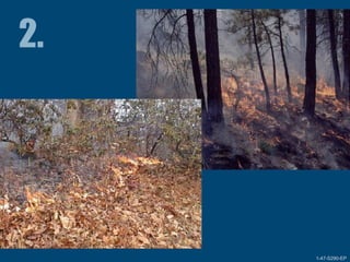 1-47-S290-EPUnit 1 The Fire Environment 1-47-S290-EP
 