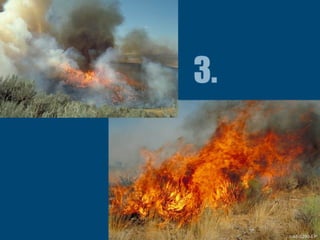 1-48-S290-EPUnit 1 The Fire Environment 1-48-S290-EP
 