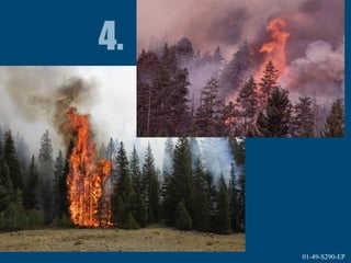 1-49-S290-EPUnit 1 The Fire Environment 01-49-S290-EP
 