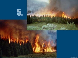 1-50-S290-EPUnit 1 The Fire Environment 1-50-S290-EP
 