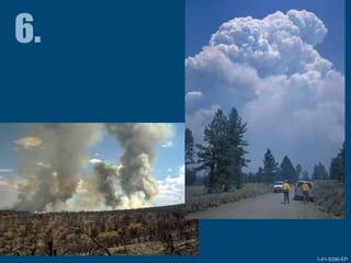 1-51-S290-EPUnit 1 The Fire Environment 1-51-S290-EP
 