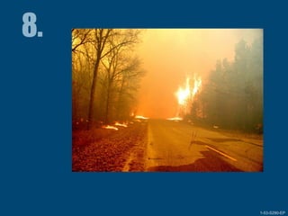 1-53-S290-EPUnit 1 The Fire Environment 1-53-S290-EP
 