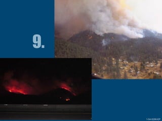 1-54-S290-EPUnit 1 The Fire Environment 1-54-S290-EP
 