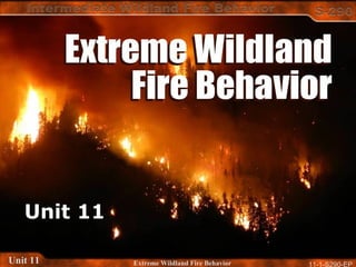 11-1-S290-EPUnit 11 Extreme Wildland Fire Behavior
Unit 11
 