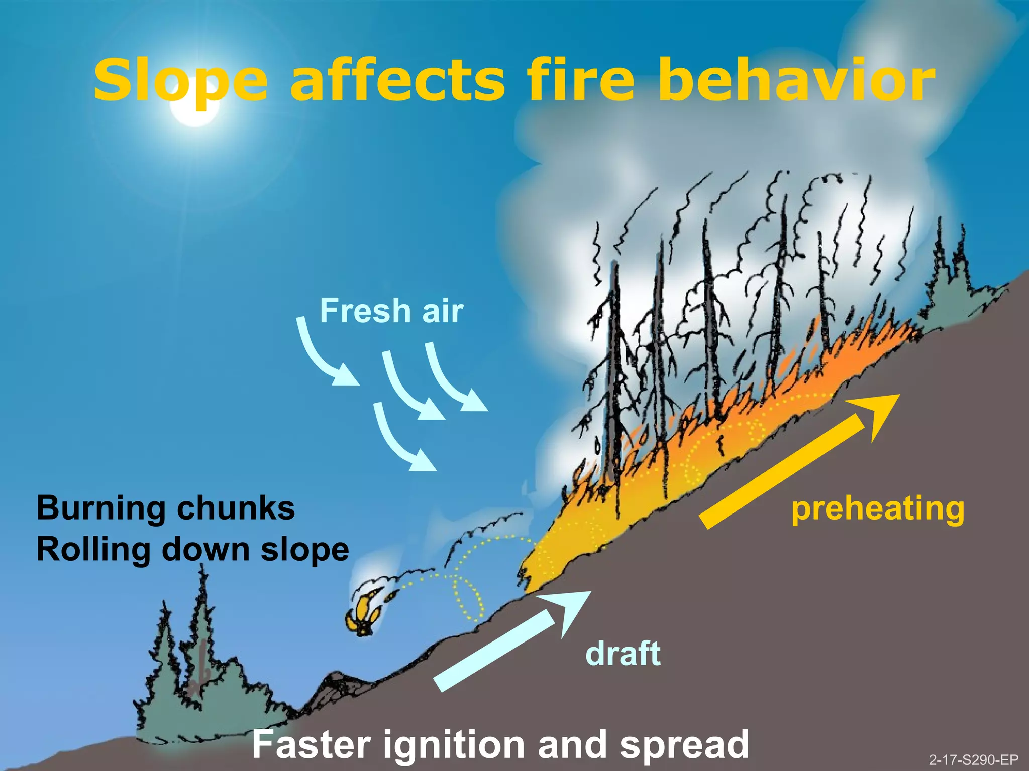 2-17-S290-EPUnit 2 Topographic Influences on Wildland Fire Behavior
Slope affects fire behavior
Fresh air
Burning chunks
Rolling down slope
Faster ignition and spread
draft
preheating
2-17-S290-EP
 
