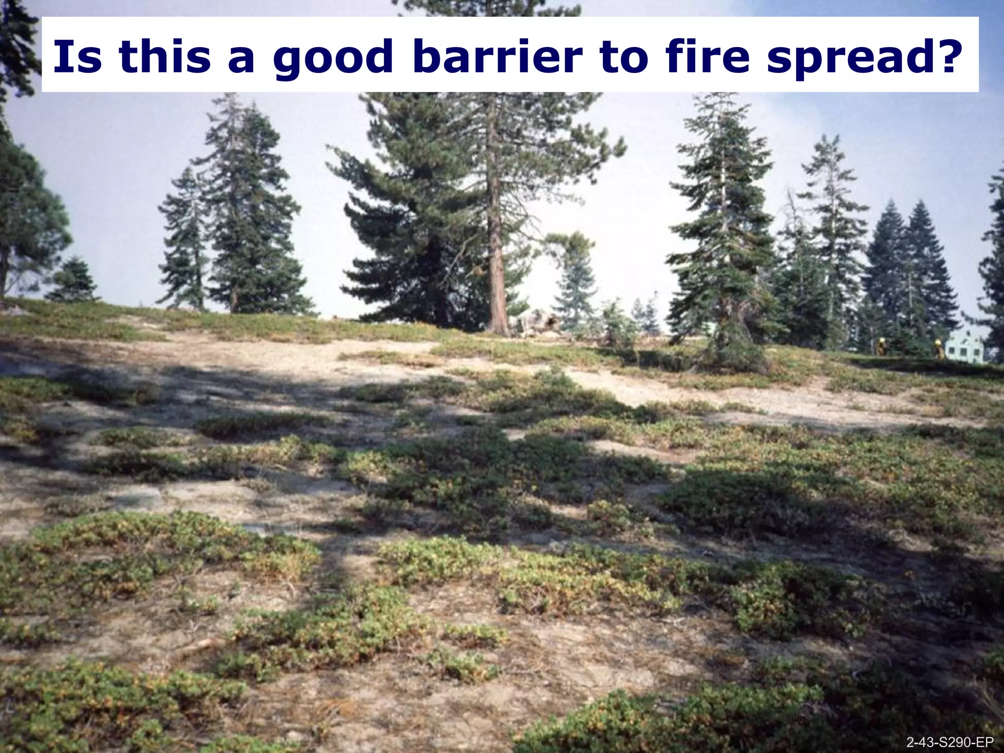 2-43-S290-EPUnit 2 Topographic Influences on Wildland Fire Behavior
Is this a good barrier to fire spread?
2-43-S290-EP
 