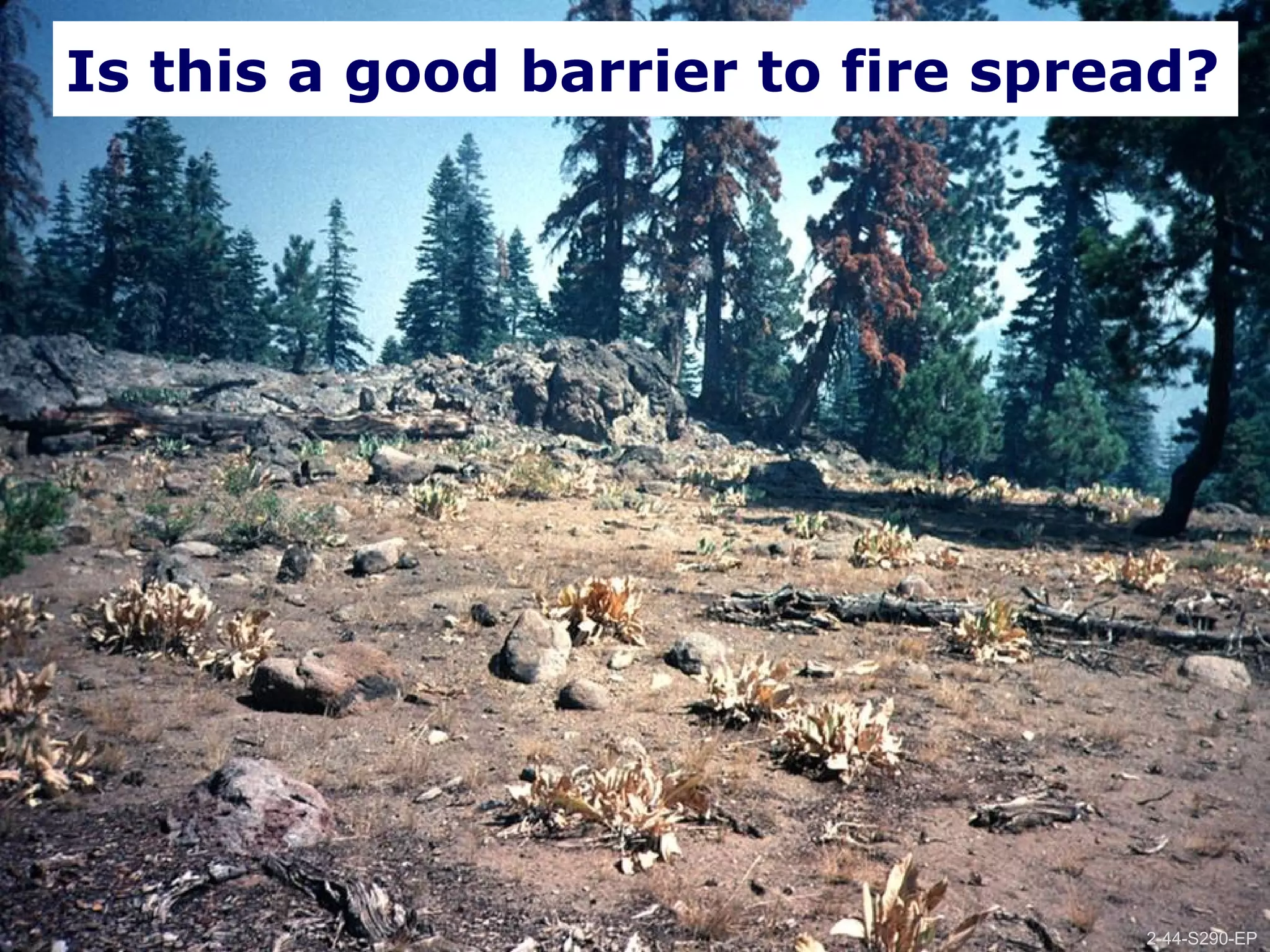 2-44-S290-EPUnit 2 Topographic Influences on Wildland Fire Behavior
Is this a good barrier to fire spread?
2-44-S290-EP
 