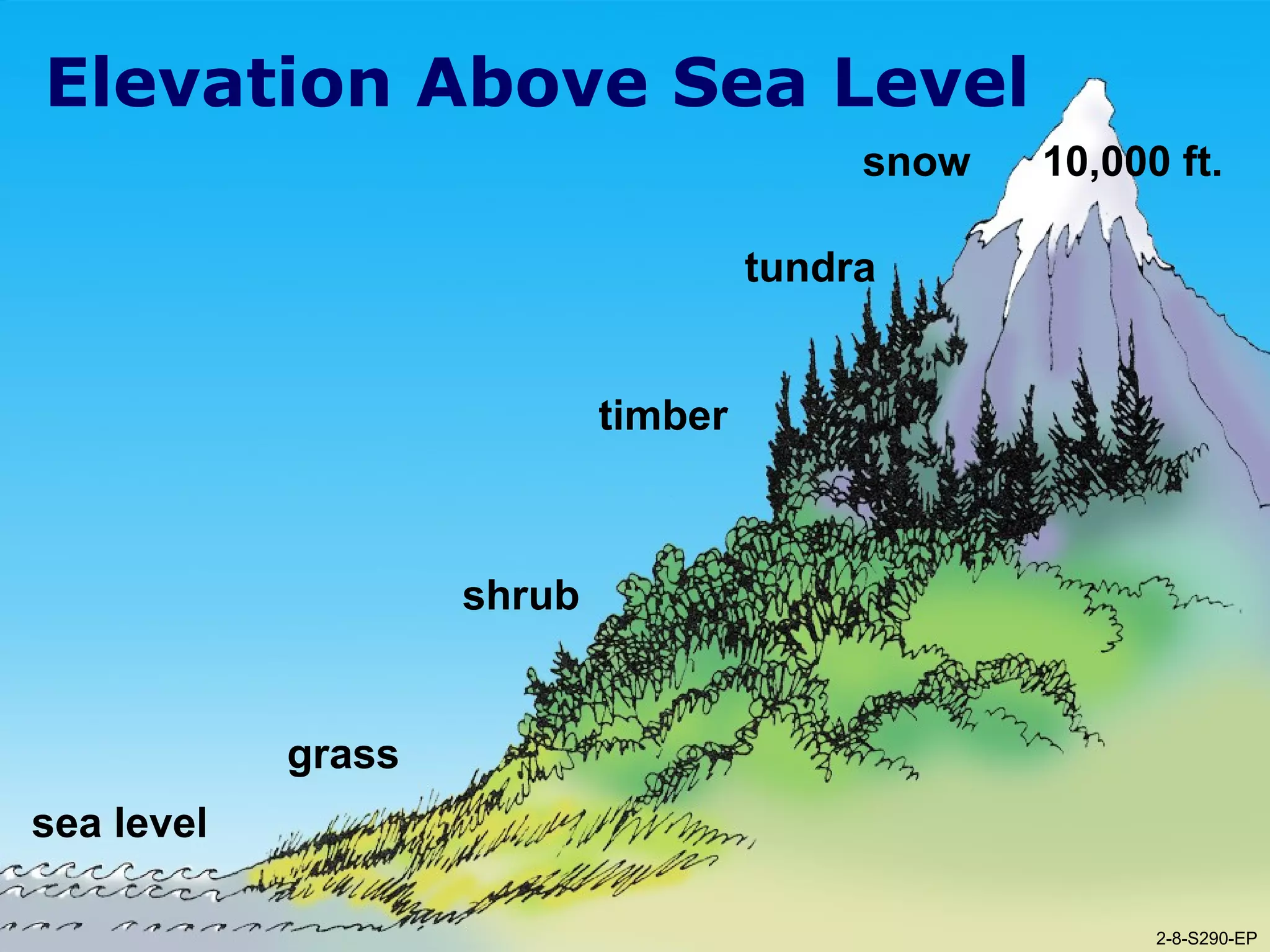2-8-S290-EPUnit 2 Topographic Influences on Wildland Fire Behavior
Elevation Above Sea Level
sea level
grass
shrub
timber
tundra
snow 10,000 ft.
2-8-S290-EP
 