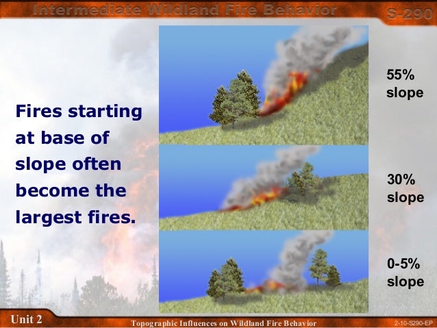 The Unseen Impact Of The Maunakea East Slope Wildland Fire - wo5dy5v