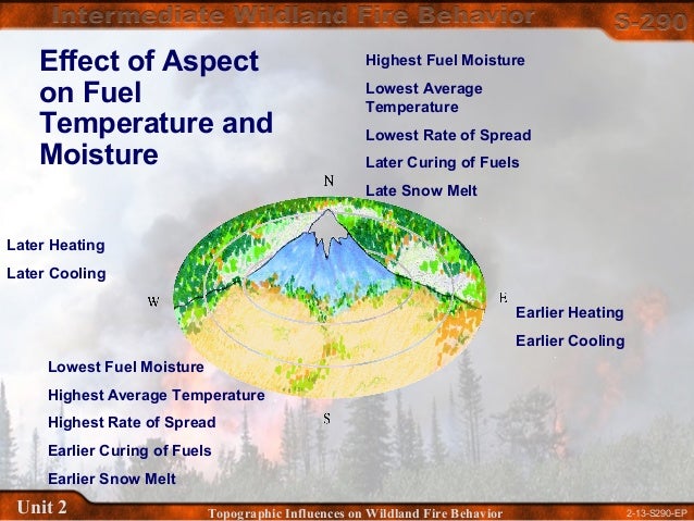 Wildland Fire On Maunakea'S East Slope: The Power Of Community Action - tbseuub