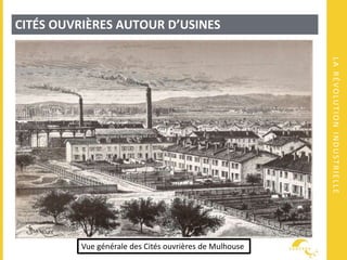 LARÉVOLUTIONINDUSTRIELLE
CITÉS OUVRIÈRES AUTOUR D’USINES
Vue générale des Cités ouvrières de Mulhouse
 