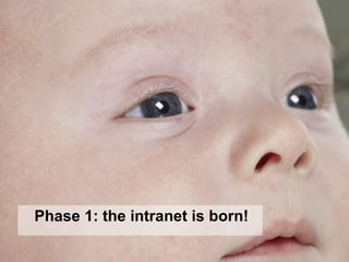 Phase 1: the intranet is born! 