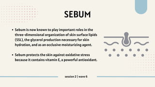 SEBUM
session 2 | wave 6
Sebum is now known to play important roles in the
three-dimensional organization of skin surface lipids
(SSL), the glycerol production necessary for skin
hydration, and as an occlusive moisturizing agent.
Sebum protects the skin against oxidative stress
because it contains vitamin E, a powerful antioxidant.
 