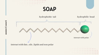 SOAP
interact with polar
hydrophilic head
hydrophobic tail
interact with fats , oils , lipids and non polar
session
2
|
wave
6
 