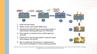 When your skin is dry, itchy and irritated, the skin cell renewal process is further disrupted and the natural protective moisture barrier cannot work effectively – leading to
prolonged dryness and irritation. We call this the Skin Life Cycle.
 