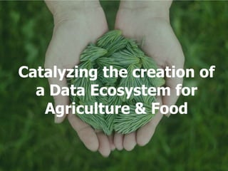 Catalyzing the creation of
a Data Ecosystem for
Agriculture & Food
 