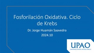 Fosforilación Oxidativa. Ciclo
de Krebs
Dr. Jorge Huamán Saavedra
2024.10
 