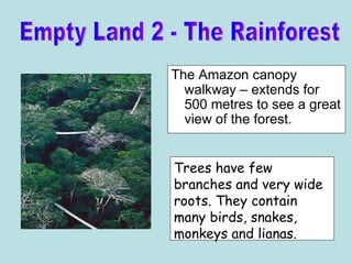 The Amazon canopy walkway – extends for 500 metres to see a great view of the forest. Empty Land 2 - The Rainforest Trees have few branches and very wide roots. They contain many birds, snakes, monkeys and lianas. 