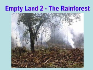 Empty Land 2 - The Rainforest 