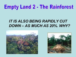 IT IS ALSO BEING RAPIDLY CUT DOWN – AS MUCH AS 20%. WHY? Empty Land 2 - The Rainforest 