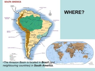 WHERE? The Amazon Basin is located in  Brazil  (and neighbouring countries)   in  South America. 