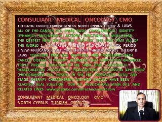 S2 sci̇enti̇fi̇c  hi̇stori̇cal  background  and  general  capabi̇li̇ty  of  consultant phi̇losopher  efruzhu  cmo-phrmp 2