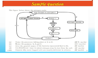 Sam le uestion
T h e n i t r o g e n c y c l e .
f i g u r e b e l o w s h o w s t h e
i n a t m o s p h e r e
F r e e n i t r o g e n
P r o d u c t 3
N i t r o g e n d i o x i d e
1
A i v
P r o d u c t 2
Nitric acid
-
N i t
r i t
e s
P r o d u c t 1
(03 '% m a r k s)
( 0 1 m a r k s )
(02 m a r k s )
( a )
( b )
( e )
( d )
s / 6 9 )
N a m e
N a m e
t h e
t h e
p r o c e s s e s t a k i n g p l a c e a t A t o G .
a n d 3 .
o f t h e b a c t e r i a r e p r e s e n t e d b y i t o i v .
p r o d u c t s 1, 2
G i v e t h e g e n e r a l n a m e s
L i s t 4 d i f f e r e n t w a y s i n w h i c h n i t ro g e n m a y b e lo s t f r o m th e s o i l . (02 m a r k s)
(02 m a r k s )
E x p l a i n w h y w a t e r l o g g e d s o i l s a r e u s u a l l y d e f i c i e n t i n n i t r a t e s . 100
 