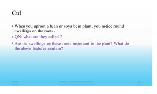 Ctd
• When you uproot a bean or soya bean plant, you notice round
swellings on the roots .
QN: what are they called ?
Are the swellings on these roots important to the plant? What do
the above features contain?
•
•
 