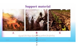 Support material
B
Fi
g
ur
e
2.
C
A
 