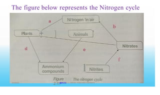 The figure below represents the Nitrogen cycle
Ni•
trogen •
in•
air
b
'
+ ]
Plants Animals
·«
Nitrates
e
f
l
Ammonium
compounds
Figure
2.11:
Nitrites
The nitrogen cycle
@PETER .L. OKION 778001502/ 758795415
8/3/2023
 