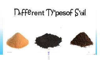 'peso 'oi
rent
o h
¢
«
@P
ET
ER
.L.
OKI
ON
778
8/3/2023 12
 