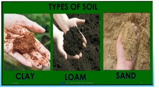 @PETER .L. OKION 778001502/ 758795415
8/3/2023
 