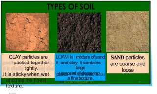 .,,,
J
'
t
.
I ' ,
' '
•
' ., t '
'
!
...
6f
~ 4
'
4
'
.
•
,. I'',
,
4
I
+
'
.'j:,
4
J1
:
I
f
,. I
,
6
;
e.
.
« d
t
1
.,
·.
("
'I
~
a
•
i J l
'
0
-
I,
~
~
I
d
...
~
.-
-
f
t
f
,
.
4
.,
.
1
'
$ i ' 4
J
t f
4
/- F
.I
CLAY particles are
packed together
tightly.
It is sticky when wet
and has the finest
texture.
8/3/2023
LOAM Is
a
mixtureofsand SAND particles
andclay. It contains
large
amountofdecaying
are coarse and
loose
and
plants animals. It has
afinetexture.
@PETER .L. OKION 778001502/ 758795415
 