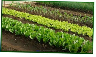 ,
'
t
-
11, ..,·_ .'
,
+
.. •
... '
4 _
4 ' · . ,
_- .. ~ - -
.
~ -
L,~ . . . .
..
•
.
t
@PETER .L. OKION 778001502/ 758795415
 