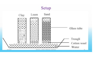 Setup
Sand
Loam
= a a
- a a
Clay
a o
m i
Glass tube
i I i
i i i i i
i i i i i
I
• • •
i i i ii i i i
II 11
1
1 II I II II
4 .a
a
ii i i i ii ii
I
• •
t Ii
Ii
a
i
i
i
a a
I
Trough
Cotton wool
Water
i i
• ■l ■
i
II I I
I
i d ii
' a ' a
. " · · .
. - " · +
- - -
m
 